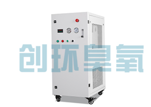 临漳石斑鱼养殖水质调控完整指南:臭氧发生器配置与操作步骤