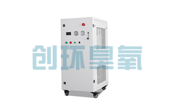 临漳比传统换水更高效?臭氧发生器在石斑鱼养殖中的水质净化原理解析